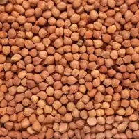Ramdoot Export- Bengal Gram/Chana Ramdoot Export- Bengal Gram/Chana