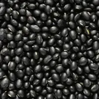 Ramdoot Export – Black Gram Urad Whole Ramdoot Export - Black Gram Urad Whole