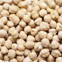 ramdoot-export-chickpeas-kabuli-chana Ramdoot Export - Chickpeas Kabuli Chana