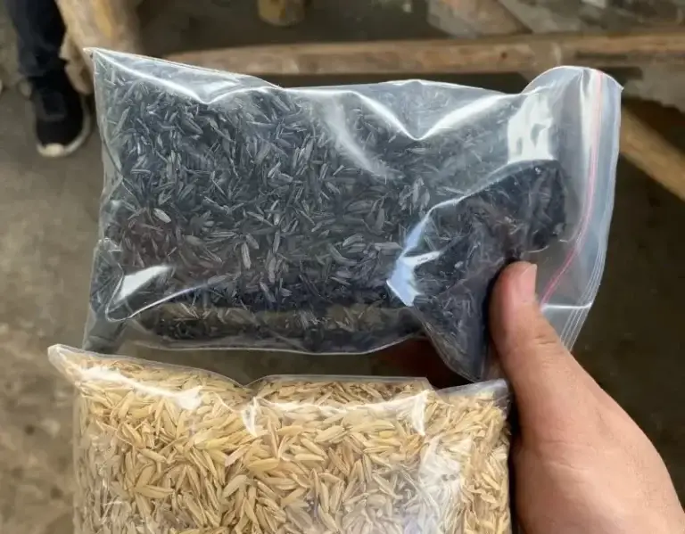 Rice Husk and RHA sample