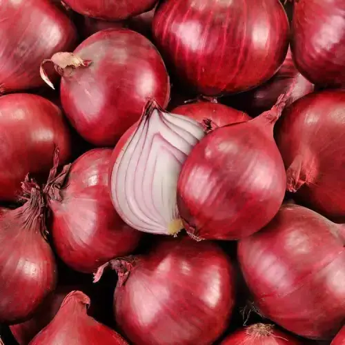ramdoot-red-onion Red Onion